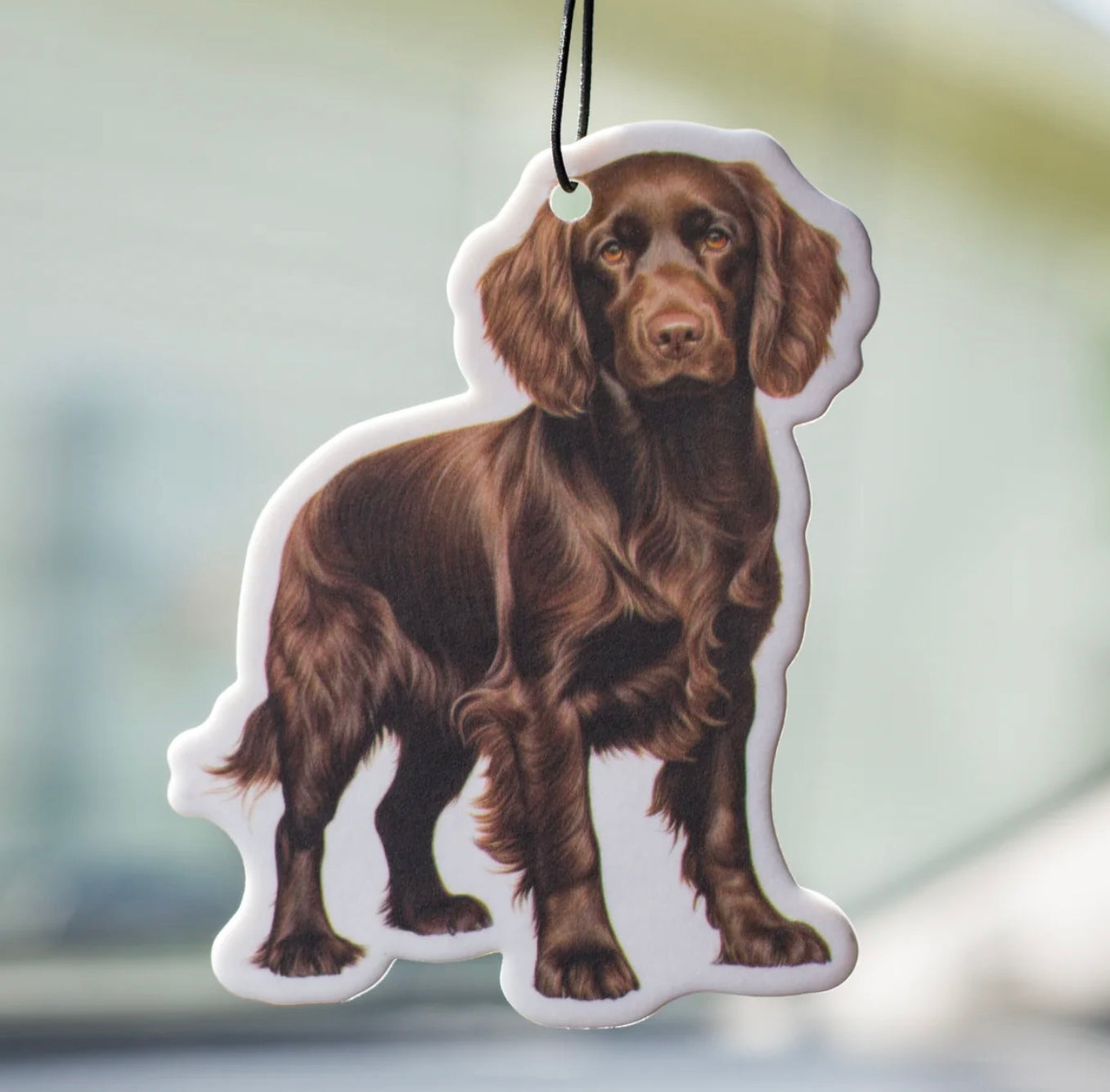 Scent South - Air Fresheners
