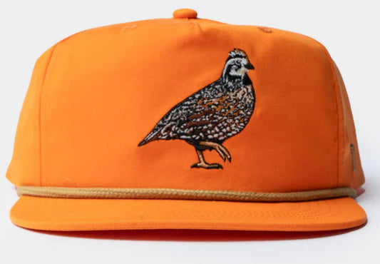 Duck Camp Quail Forever x DC Bobwhite Hat - Blaze